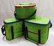 Комплект Сумок холодильников (термо сумка) 3 в 1 зеленый Fishmaster 12, 18 и 30 литров FXM-121830 фото 1